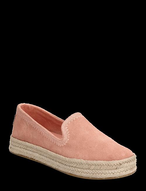 TOMS | Carolina | 39