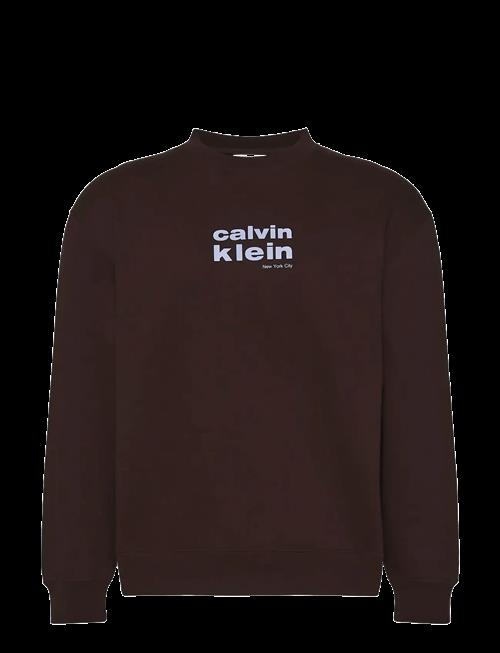 Calvin Klein | Ls 350Fleece Retro Graphic Crewn | XXL