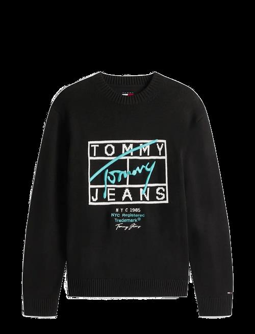 Tommy Jeans | Tjm Reg Signature Sweater Ext | M