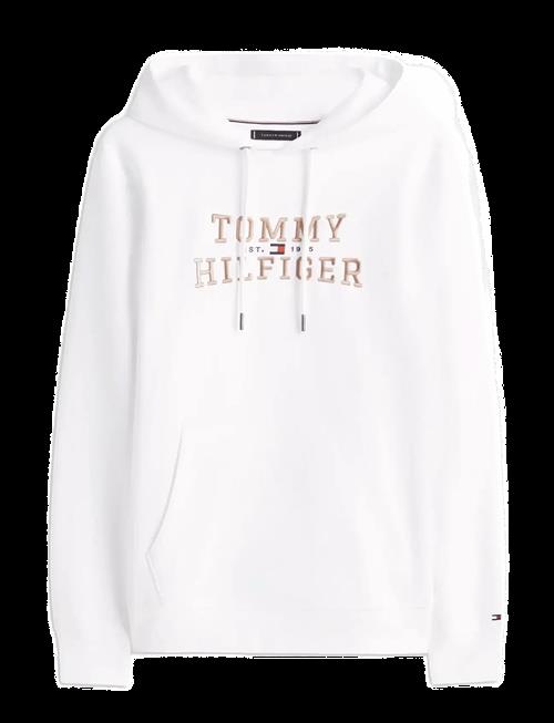 Tommy Hilfiger | Icon Intechno Hoody | L