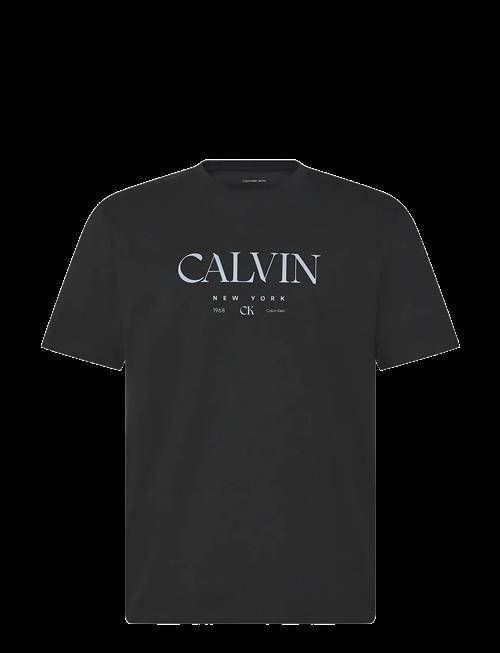 Calvin Klein | Ss 20S Ln Calvin Graphic Tee | L