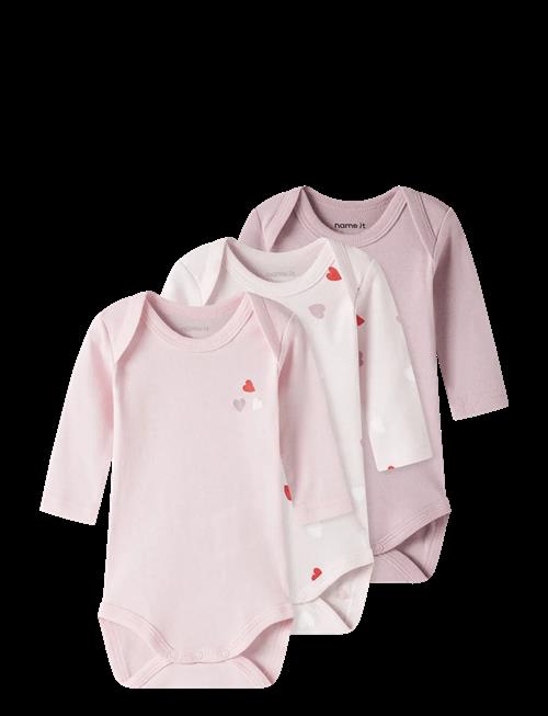 name it | Nbfbody 3P Ls Carinaria Heart Noos | 62