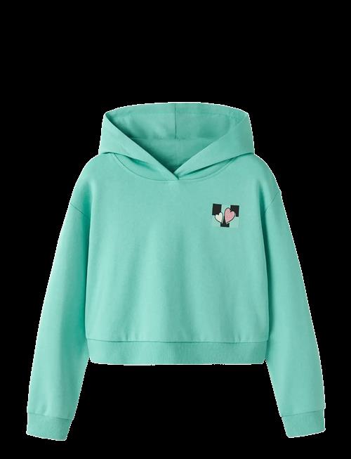 name it | Nkftara Ls Crop Rlx Swe Wh Bru Ps Noos | 146-152