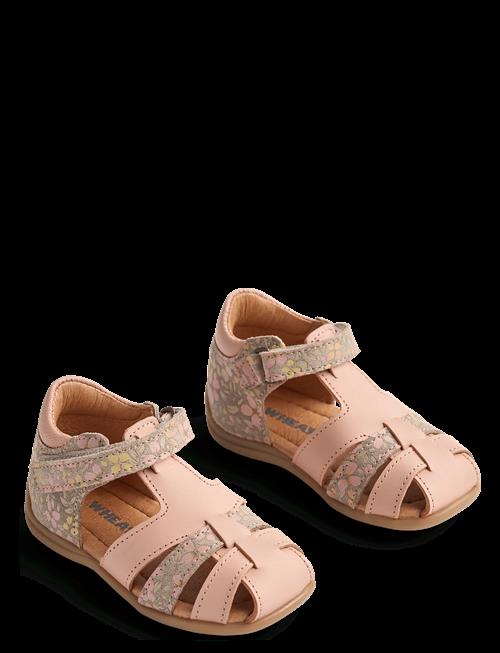 Wheat | Sandal Robbie | 20