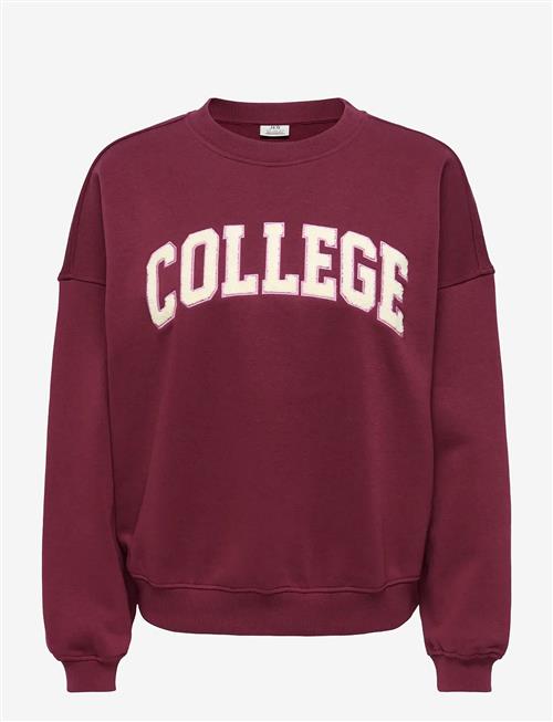 JDY | Jdymesa L/S O-Nk Emb Sweat Jrs Noos | XS