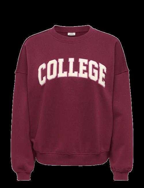 JDY | Jdymesa L/S O-Nk Emb Sweat Jrs Noos | L