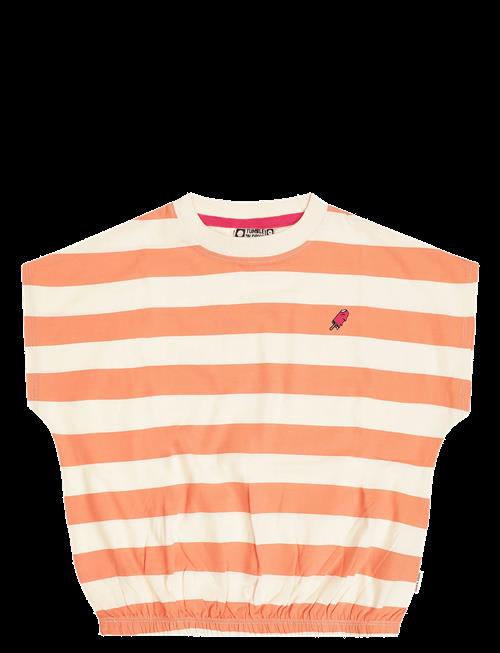 TUMBLE 'N DRY | Tnd Colatina | 98