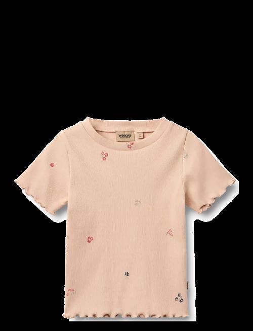 Wheat | Rib T-Shirt S/S Alicia | 122