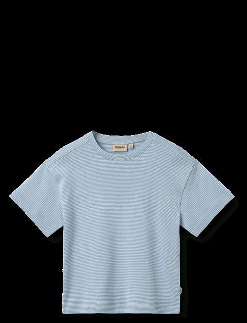 Wheat | T-Shirt S/S Tommy | 122