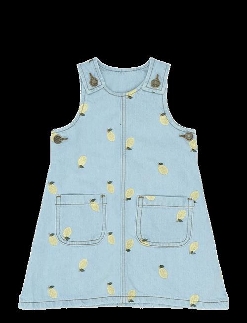 The New | Tnstsaja S_L Denim Dress | 98