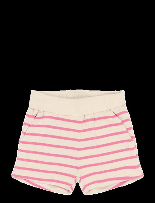 The New | Tnstsannah Shorts | 104