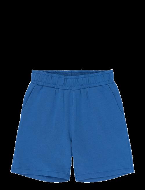 The New | Tnrasmus Sweat Shorts | 122/128