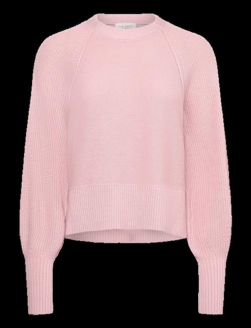 Ted Baker London | Vicckii | XL