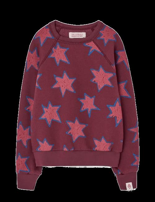 THE ANIMALS OBSERVATORY | Stars Shark Sweatshirt | 6 Y