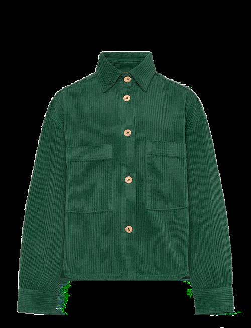 THE ANIMALS OBSERVATORY | Freen Beabull Shirt | 8 Y
