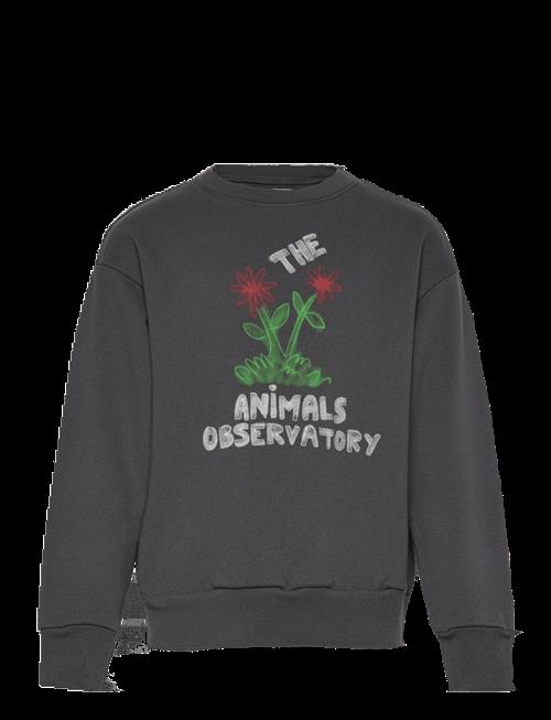 THE ANIMALS OBSERVATORY | Flowers Dark Frey Bear Sweatshirt | 8 Y
