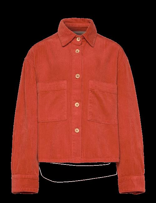 THE ANIMALS OBSERVATORY | Fif Red Beabull Shirt | 8 Y