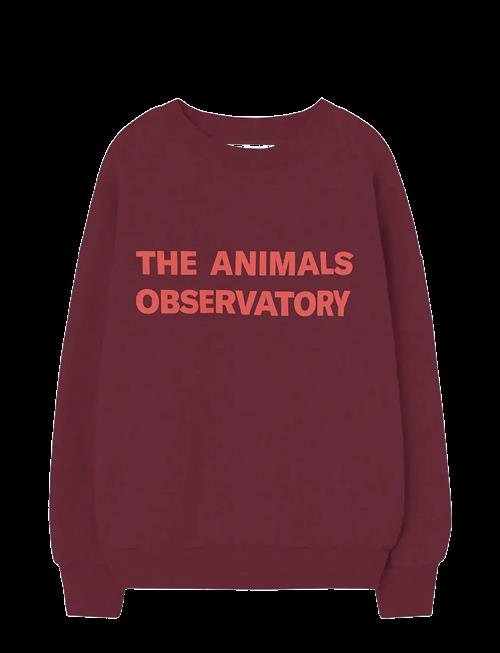 THE ANIMALS OBSERVATORY | Browned Farnet Leo Sweatshirt | 4 Y