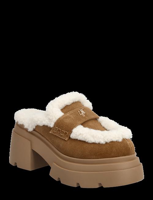 Steve Madden | Turnpike | 39
