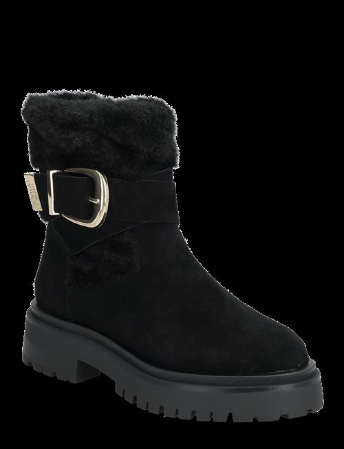 Steve Madden | Lodge | 41