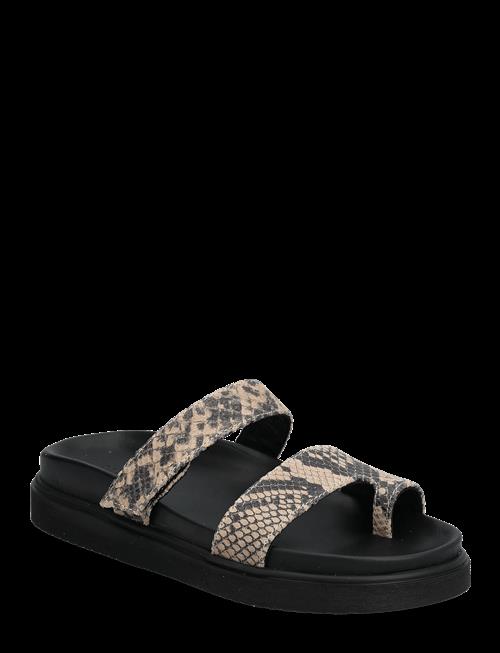 Pavement | Palanza Snake | 39