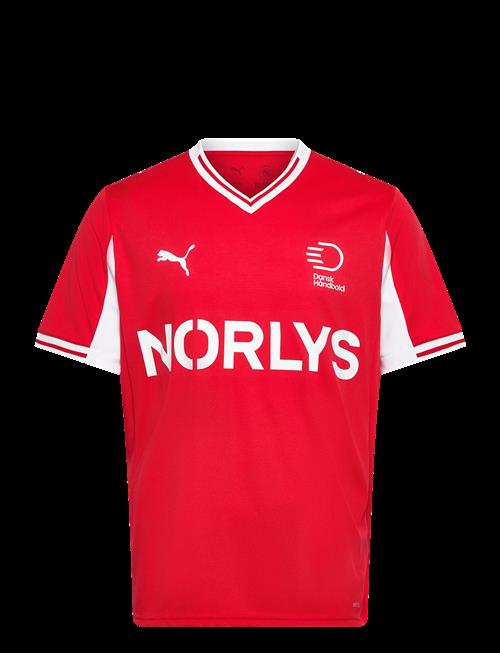 PUMA | Dhf Home Jersey | M