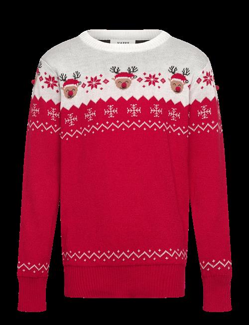 Happy Seasons | The Adorable Christmas Sweater Kids | 11-12ÅR