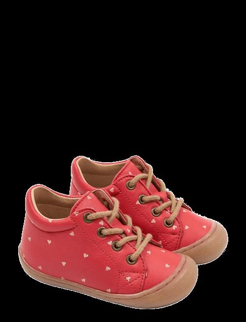 Pom Pom | Pmpoe Baby Shoe | 24