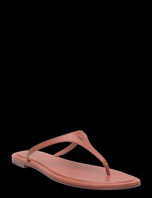Polo Ralph Lauren | Polo Play Calfskin Thong Sandal | 38
