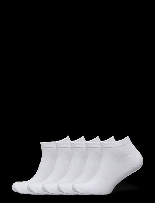 Lindbergh | 5 Pk Low Cut Sock | 40-47