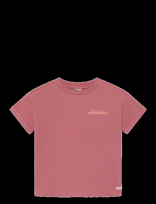 Daily 7 | T-Shirt Backprint | 98
