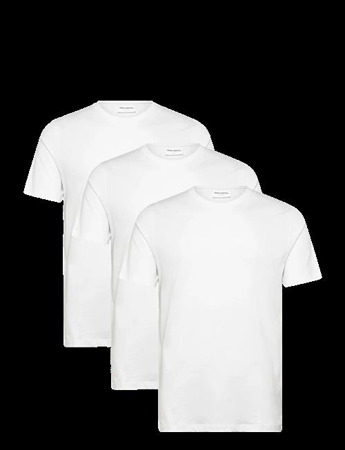 Shine Original | 3-Pack Tee S/S | XL