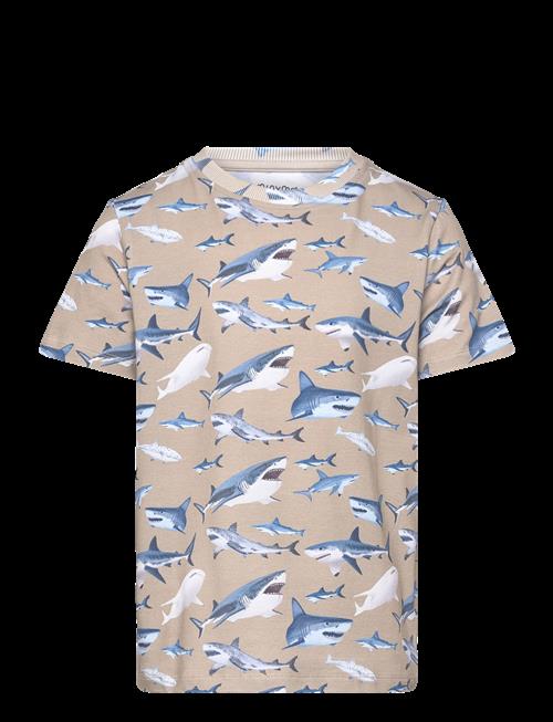 Minymo | T-Shirt Ss Aop | 122