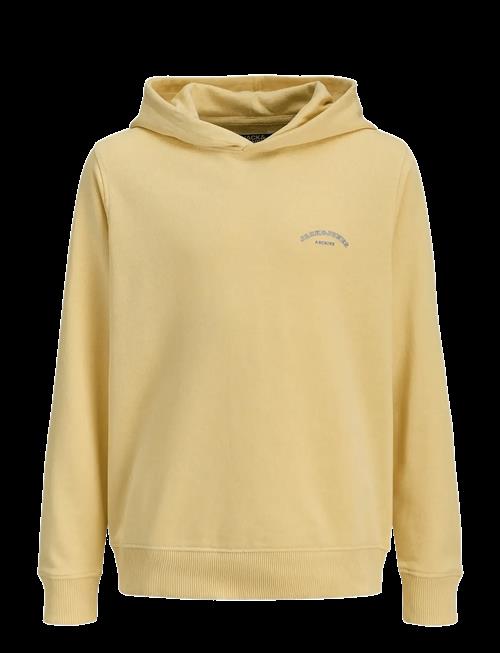 Jack & Jones | Jjcollege Logo Sweat Hood Jnr | 176