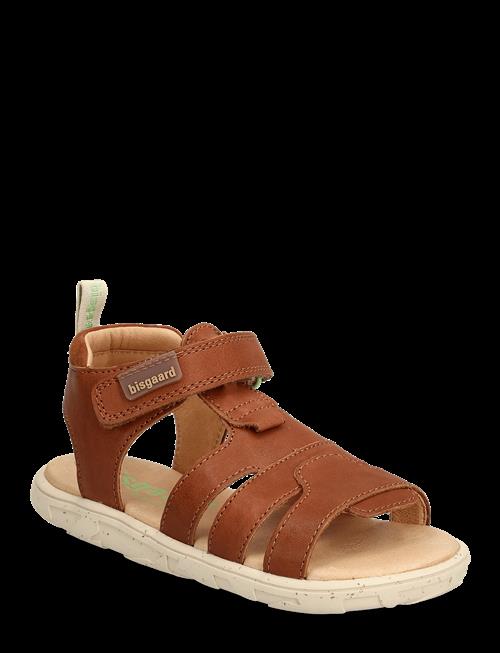 Bisgaard | Bisgaard Barefoot Atlas | 35/21.5CM
