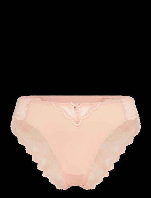Dorina | Samara Brief | L
