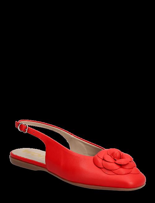 Wonders | Pepa 40 | 36