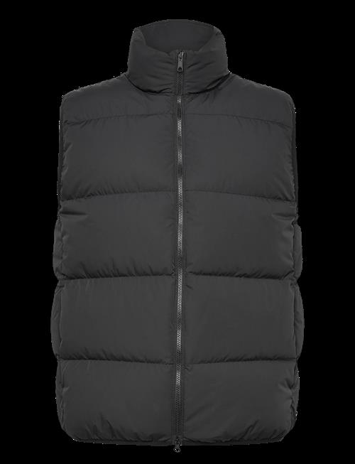 Scandinavian Edition | Script | XL