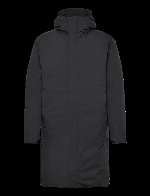 Scandinavian Edition | Vertex | L