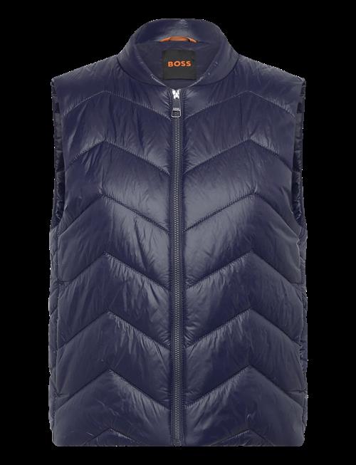 BOSS | C_Palattini | 34