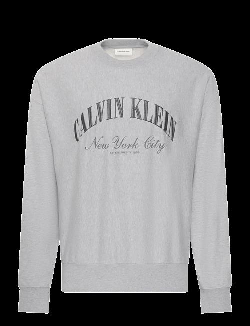 Calvin Klein Jeans | Ls Premium Terry Calvin Collegia | L