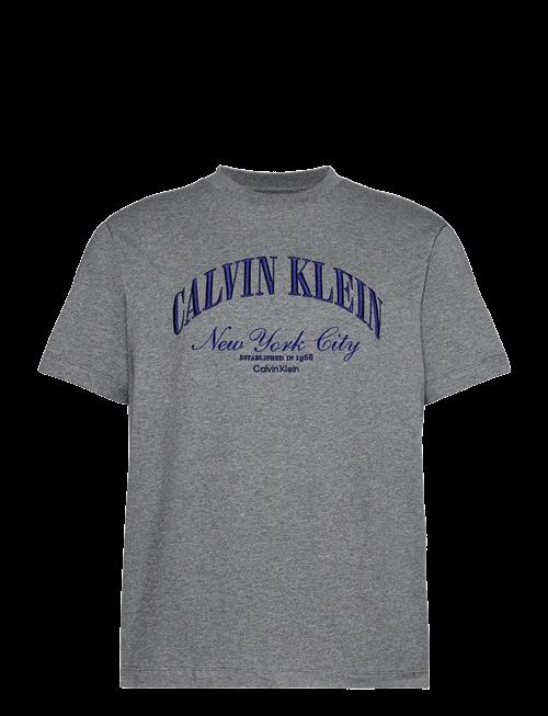 Calvin Klein Jeans | 20S March Graphic Seasonal Fashi | XL