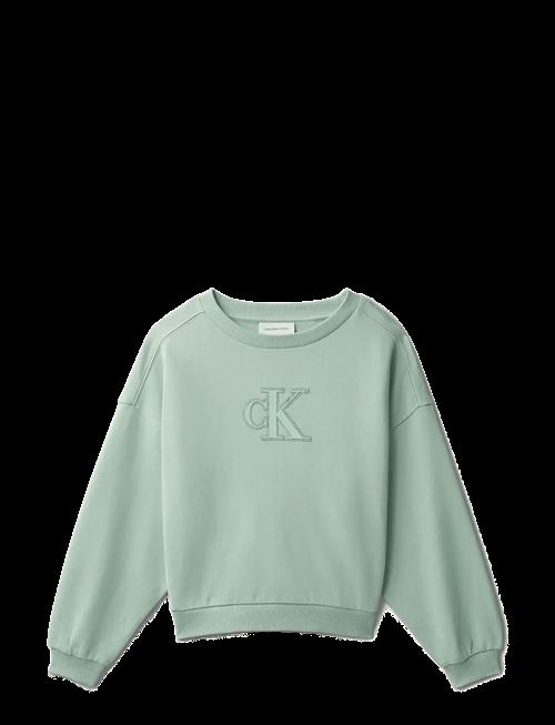 Calvin Klein | Ck Crewneck Sweatshirt | 170