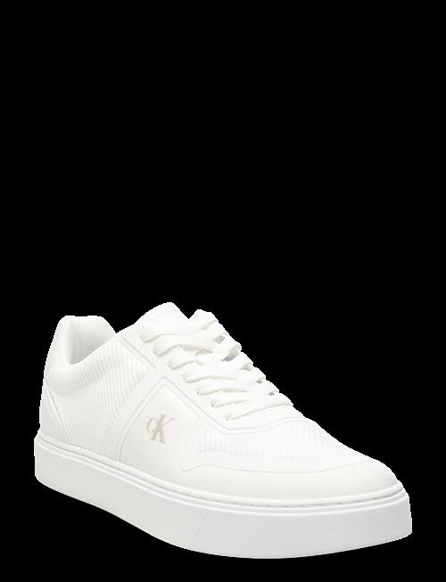 Calvin Klein | Classic Cups Laceup Knit | 43