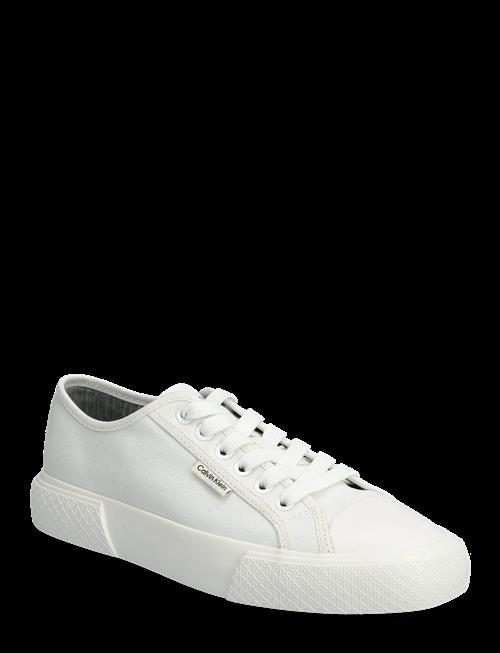 Calvin Klein | Vulc Low Lace Up Canvas | 38