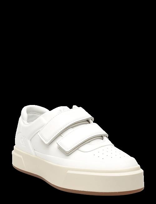 Calvin Klein | Basket Cups Velcro Lth | 36