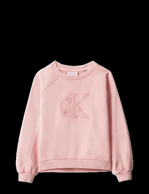 Calvin Klein | Ck Logo Sweatshirt | 170