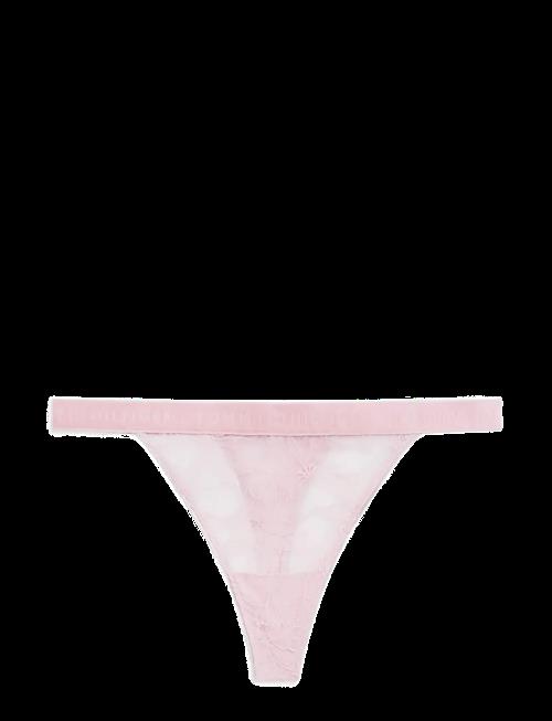 Tommy Hilfiger | Tanga Thong (Ext. Sizes) | XL