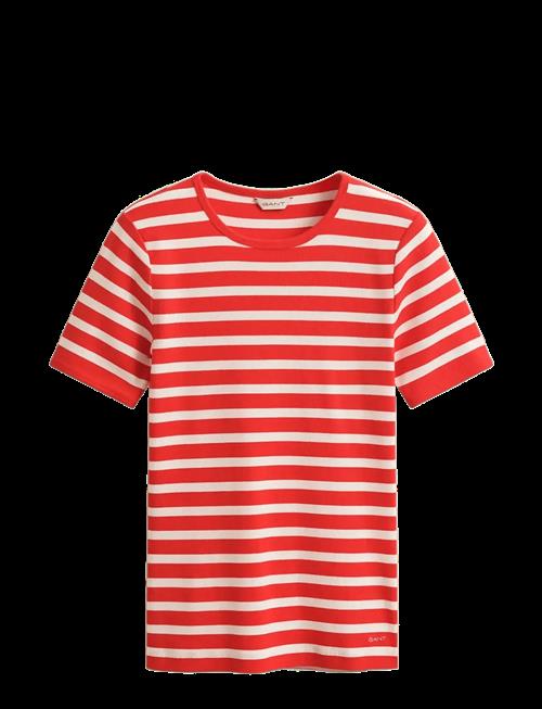 Gant | Striped Ribbed Ss T-Shirt | XL