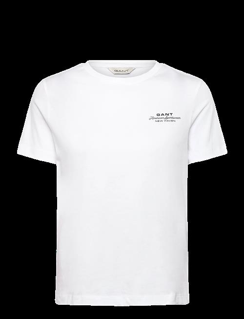Gant | Reg Graphic Print Ss T-Shirt | XL